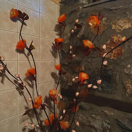 Villa Mountain Kaimaktsalan