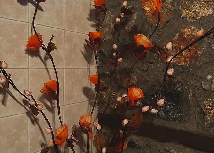 Villa Mountain Kaimaktsalan